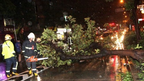 在包括台北、花莲、宜兰等多个地区的风雨已经造成多处树木和电线杆被吹倒