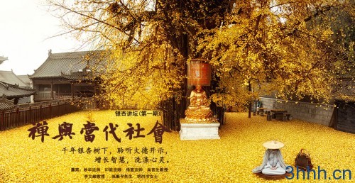 古观音禅寺 银杏讲坛（第一期）：禅与当代社会